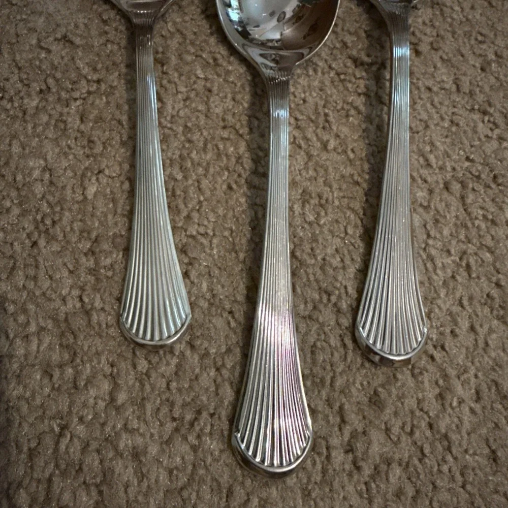 Carico Manet Stainless soup Spoons  3